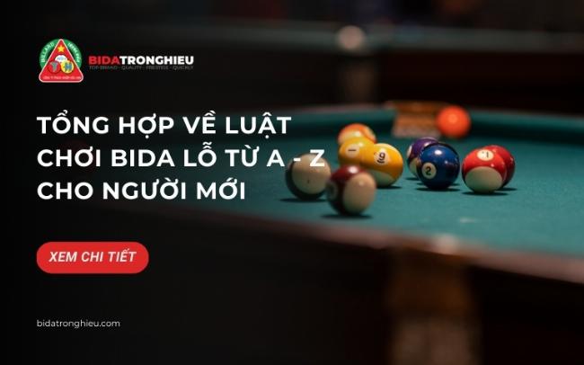 Minh hoa cac kieu choi bida pho bien trong game Y8 nhu bida 8 bong, 9 bong