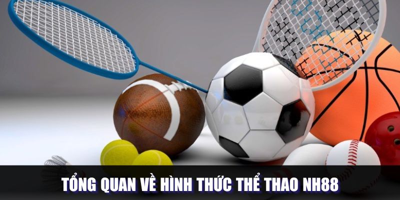 Khái quát về sảnh chơi thể thao tại NH88 Khái quát về sảnh chơi thể thao tại NH88