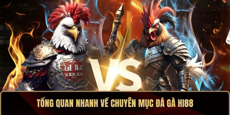 Tổng quan nhanh về chuyên mục đá gà HI88 Tổng quan nhanh về chuyên mục đá gà HI88