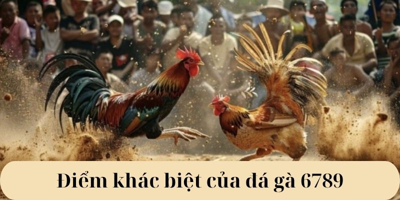 Điểm khác biệt của đá gà 6789 Điểm khác biệt của đá gà 6789