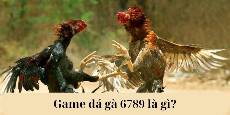 Game đá gà 6789 là gì? Game đá gà 6789 là gì?