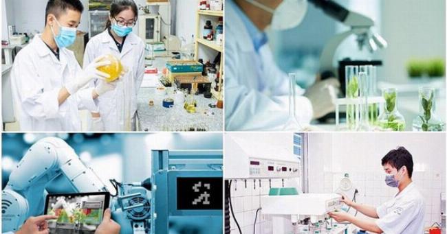 Tầm quan trọng của Nghị định hướng dẫn luật các tổ chức tín dụng trong đảm bảo an toàn hệ thống tài chính quốc gia.