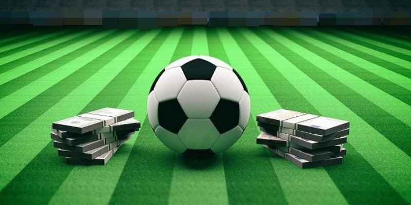 Thể thao Bsport – nơi khởi nguồn đam mê thể thao Thể thao Bsport – nơi khởi nguồn đam mê thể thao