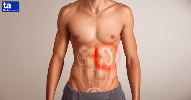 Biểu đồ chế độ ăn uống lành mạnh hỗ trợ chữa sỏi thận bằng đông y