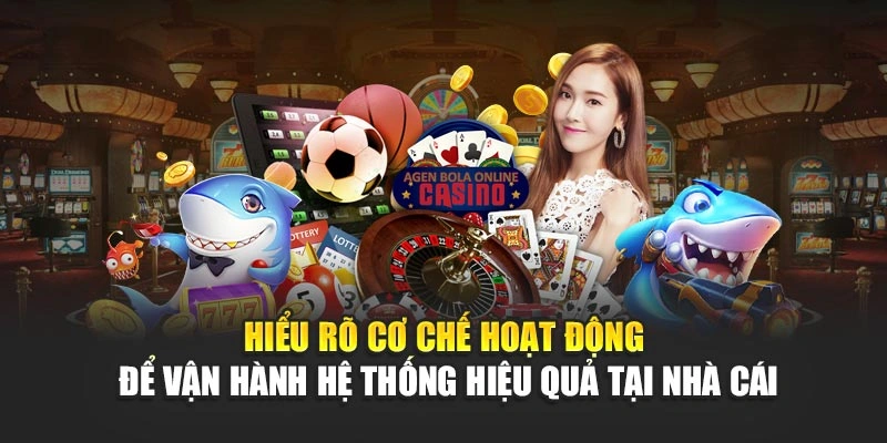 Hiểu rõ cơ chế hoạt động để vận hành hệ thống hiệu quả tại nhà cái