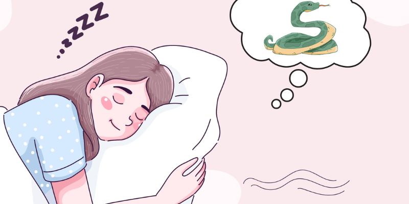 Ý nghĩa tâm linh đặc biệt khi mơ thấy rắn