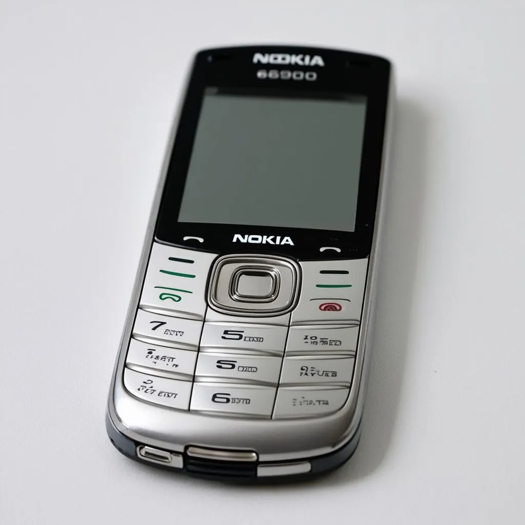 Nokia 6300