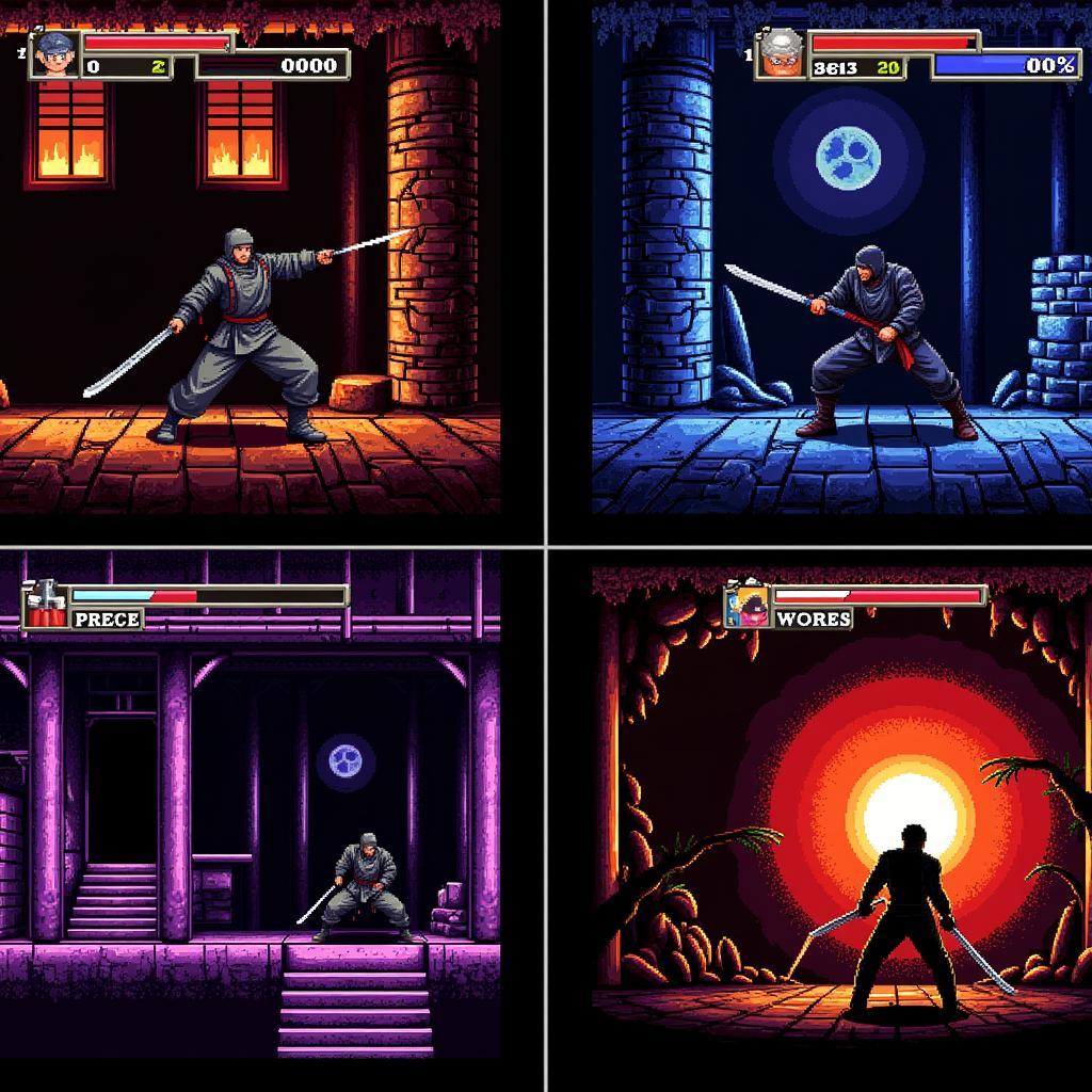 Ninja Gaiden: Trò Chơi Thử Thách Kiểm Soát Ninja Cực Phức Tạp