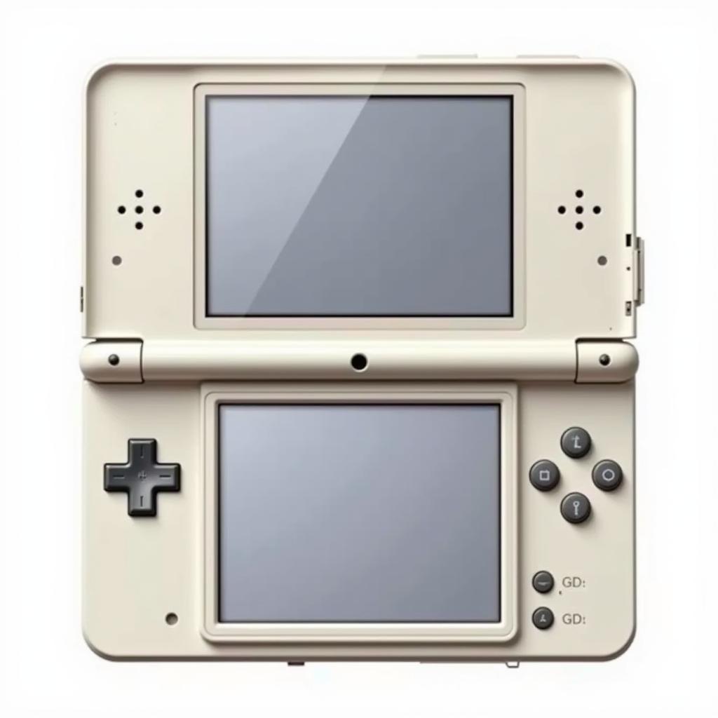 Nintendo DS console