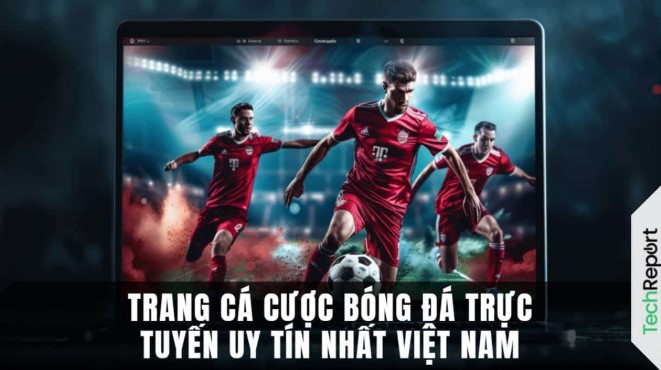 Trang cá độ bóng đá uy tín