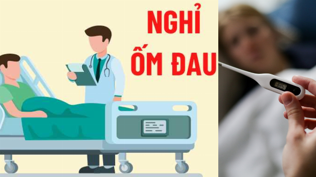 Chuẩn bị đầy đủ giấy tờ cá nhân và thông tin liên quan trước khi điền mẫu 01b HSB giúp quá trình diễn ra suôn sẻ