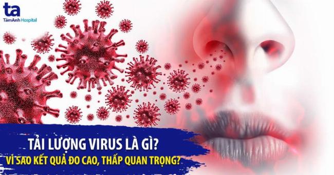 Khái niệm bảng bổ trợ virus trong game: sự kết hợp chiến lược và dịch bệnh