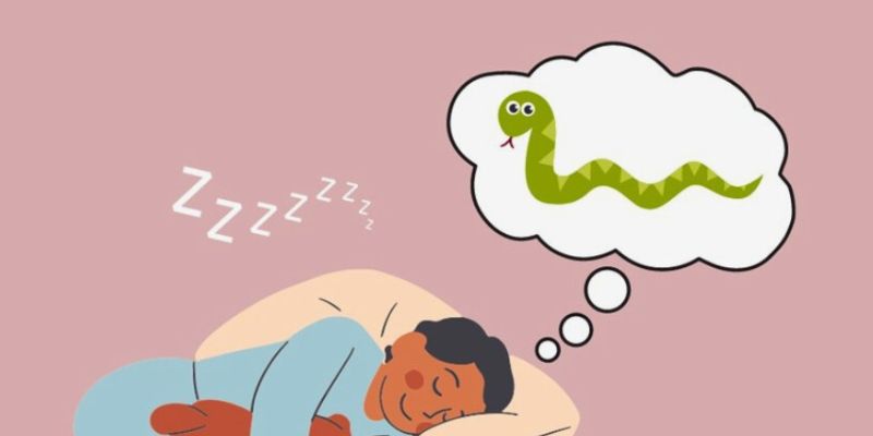 Giải mã tâm linh mơ thấy rắn